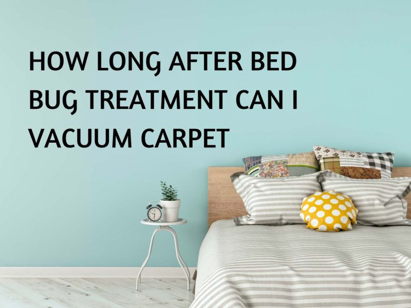 Bed Bug Treatment Vacuum