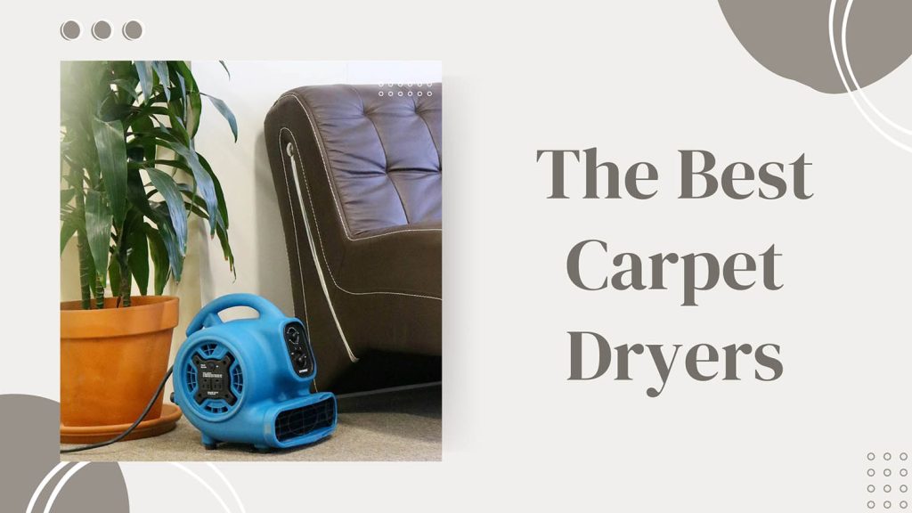 Best Carpet Dryer