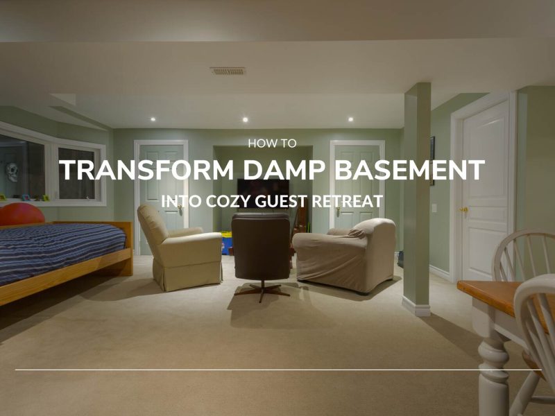 Transform Damp Basement into Cozy Retreat