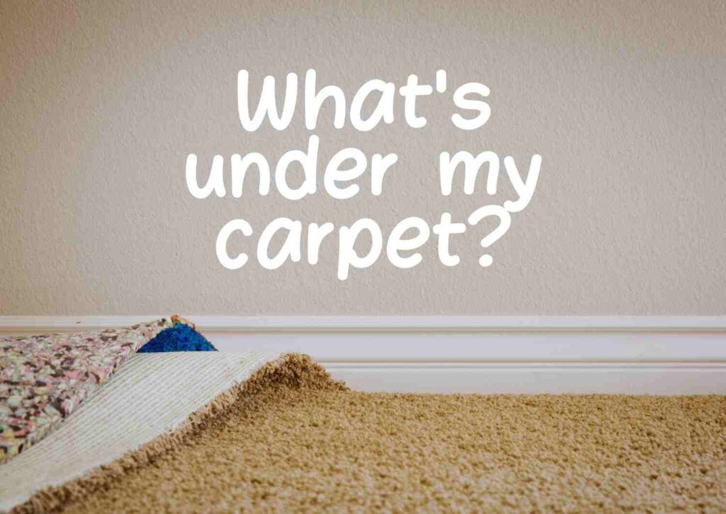 Whats under my carpet