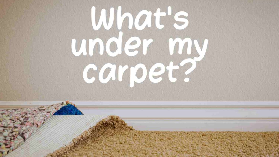 Whats under my carpet