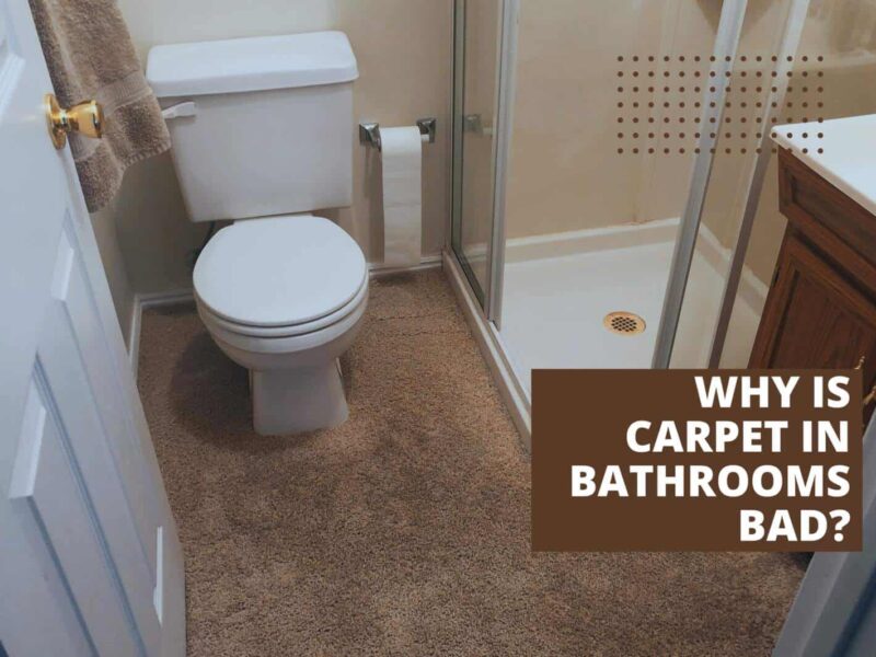 Why Is Carpet in Bathrooms Bad