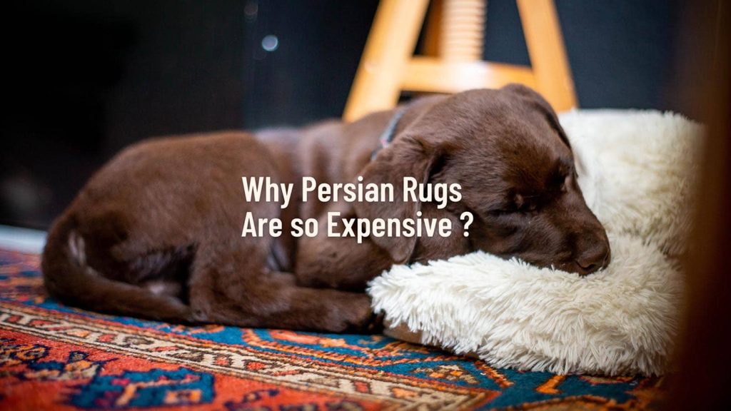 Why Persian Rugs Are so Expensive