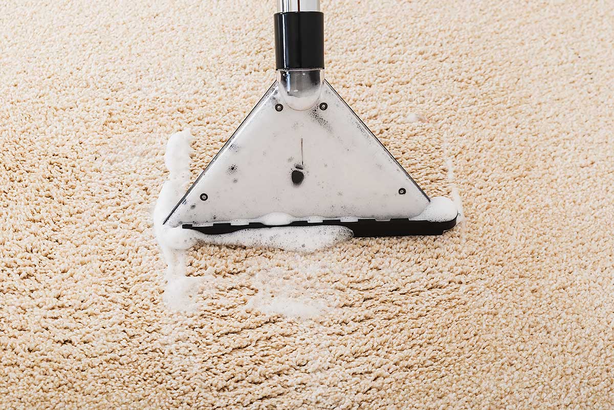 Carpet Cleaning Shampoo