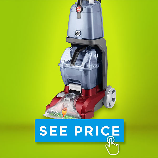 Hoover Power Scrub Price