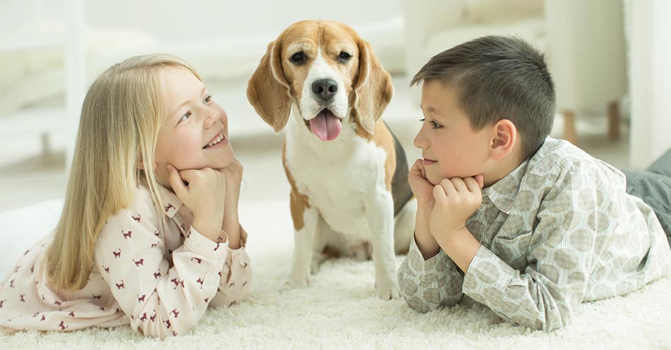 kids-and-beagle